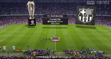 球迷：这就是我热爱这项运动的理由